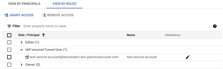 how to verify set up on google cloud platform with IAM role